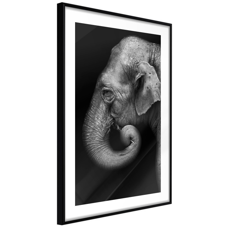 Wall Poster Elephant Portrait - black and white composition with an African animal 116441 additionalImage 11
