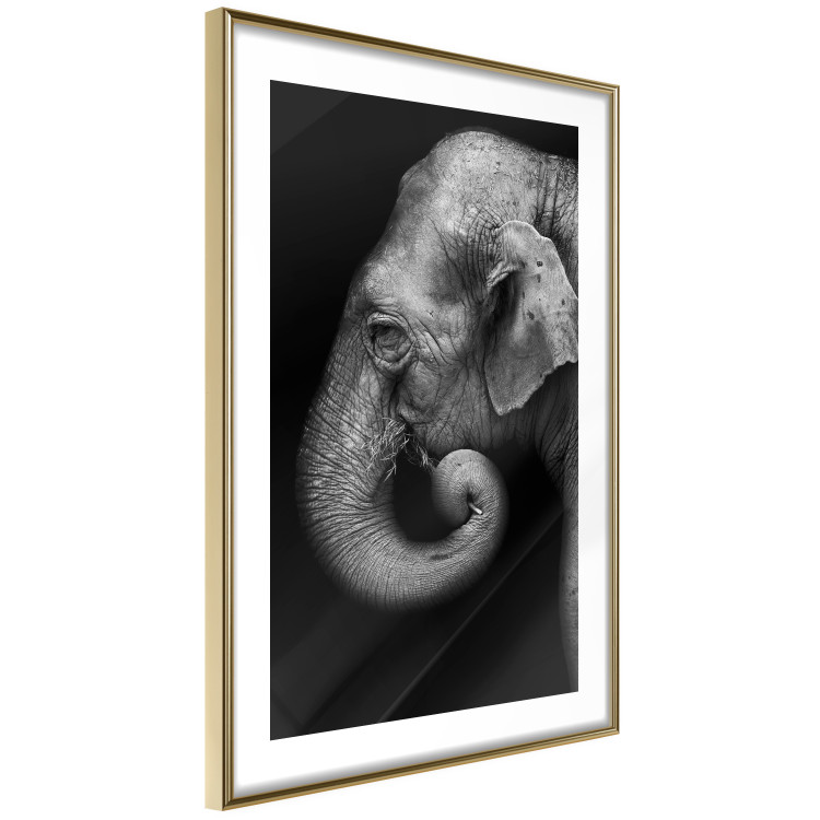 Wall Poster Elephant Portrait - black and white composition with an African animal 116441 additionalImage 6