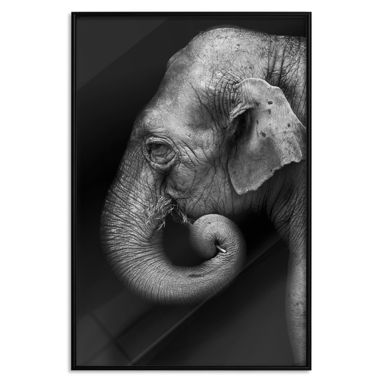 Wall Poster Elephant Portrait - black and white composition with an African animal 116441 additionalImage 18