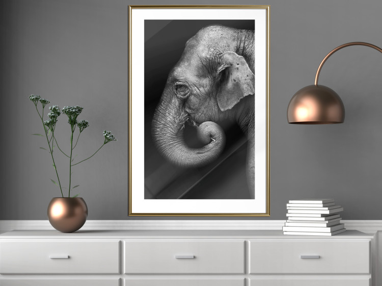 Wall Poster Elephant Portrait - black and white composition with an African animal 116441 additionalImage 13