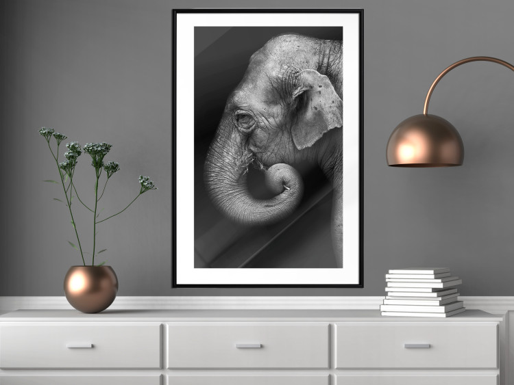 Wall Poster Elephant Portrait - black and white composition with an African animal 116441 additionalImage 4