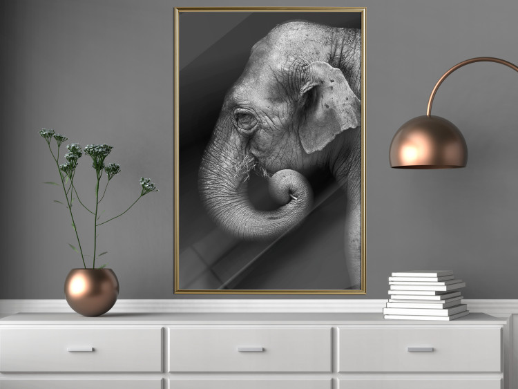 Wall Poster Elephant Portrait - black and white composition with an African animal 116441 additionalImage 5