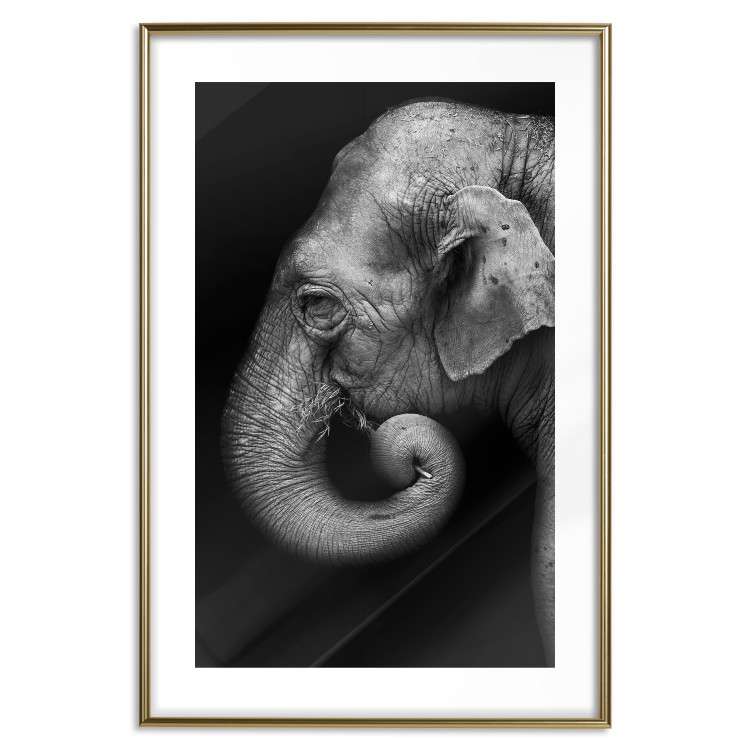 Wall Poster Elephant Portrait - black and white composition with an African animal 116441 additionalImage 14