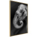 Wall Poster Elephant Portrait - black and white composition with an African animal 116441 additionalThumb 12