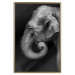 Wall Poster Elephant Portrait - black and white composition with an African animal 116441 additionalThumb 16