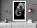 Wall Poster Elephant Portrait - black and white composition with an African animal 116441 additionalThumb 2