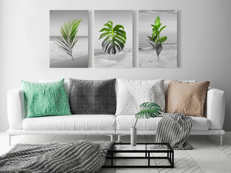 Canvas Print Plants (Collection) 116841 additionalImage 3