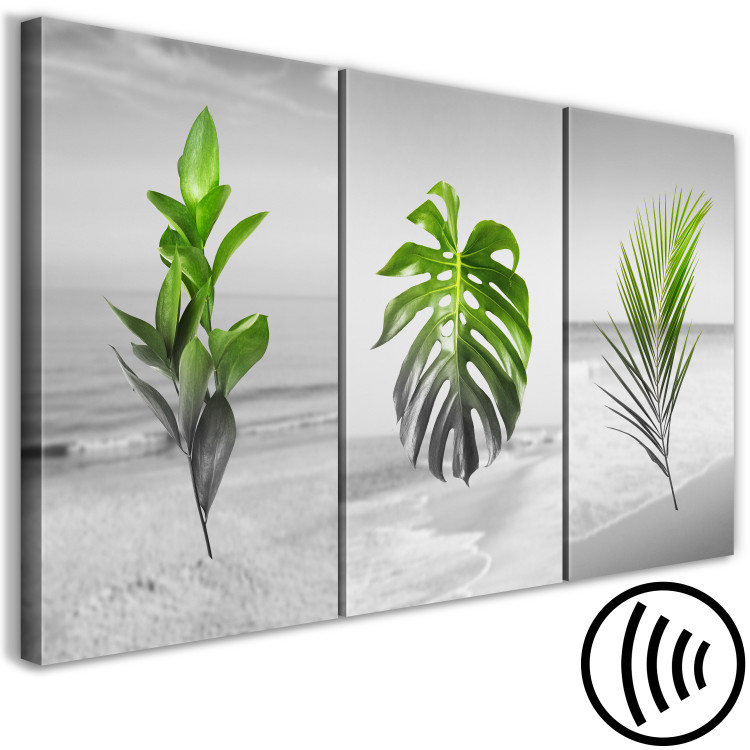 Canvas Print Plants (Collection) 116841 additionalImage 6