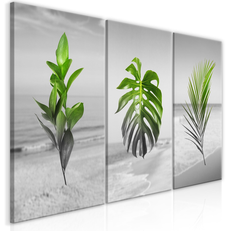 Canvas Print Plants (Collection) 116841 additionalImage 2