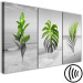 Canvas Print Plants (Collection) 116841 additionalThumb 6