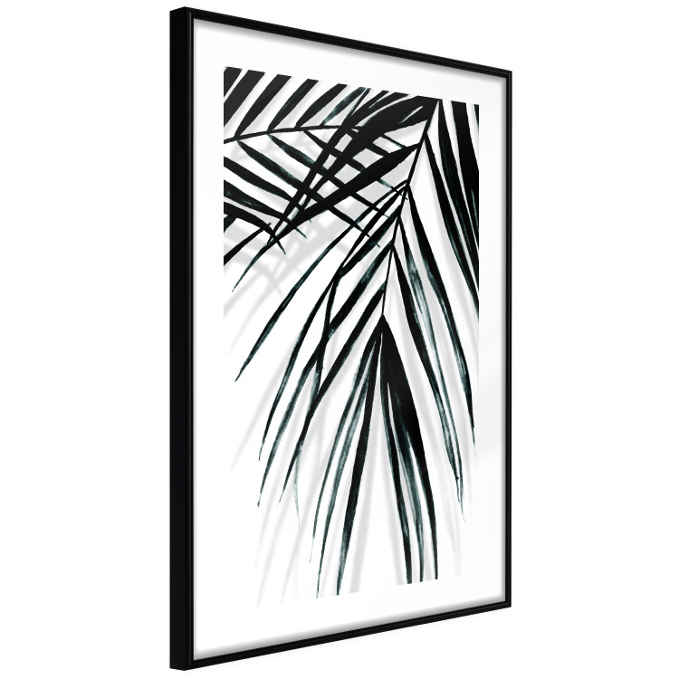 Poster Palm Relaxation - black and white composition with tropical plant leaves 119041 additionalImage 11