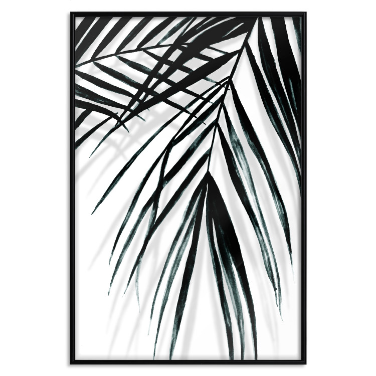 Poster Palm Relaxation - black and white composition with tropical plant leaves 119041 additionalImage 18
