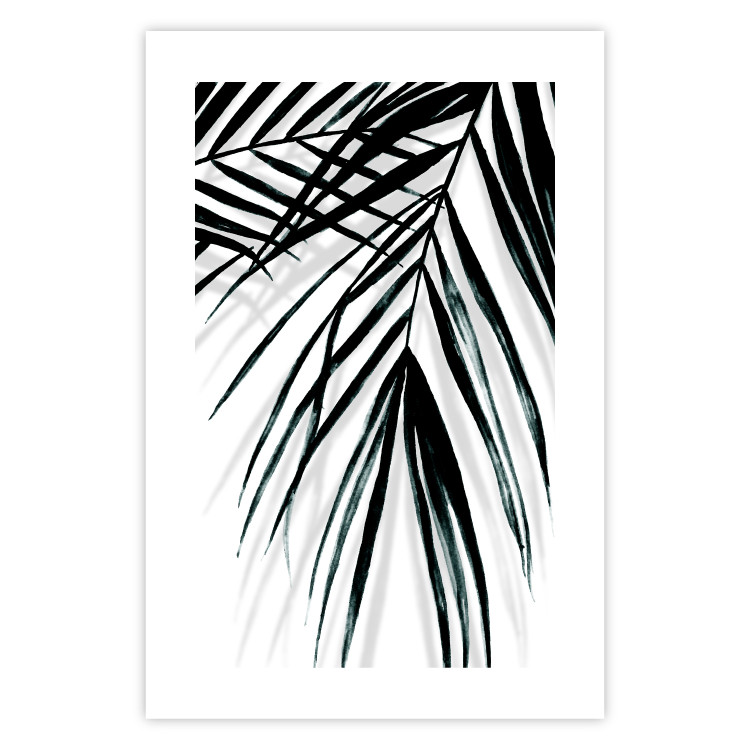 Poster Palm Relaxation - black and white composition with tropical plant leaves 119041 additionalImage 19
