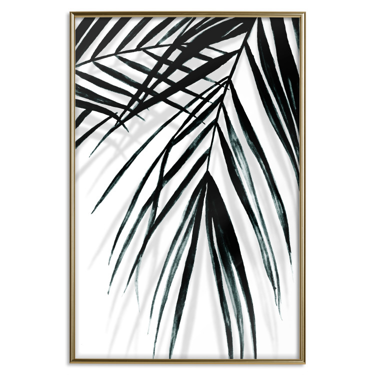 Poster Palm Relaxation - black and white composition with tropical plant leaves 119041 additionalImage 16