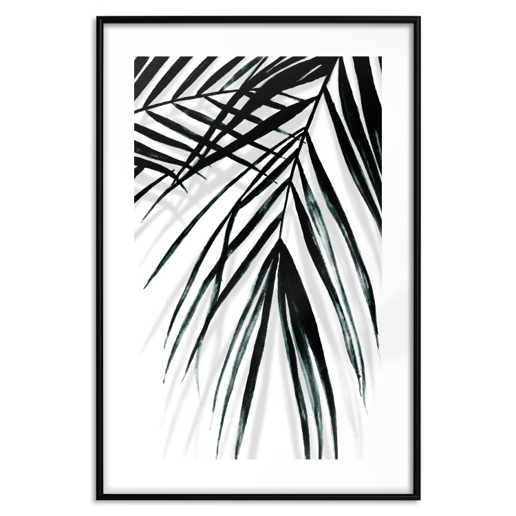 Poster Palm Relaxation - black and white composition with tropical plant leaves 119041 additionalImage 15