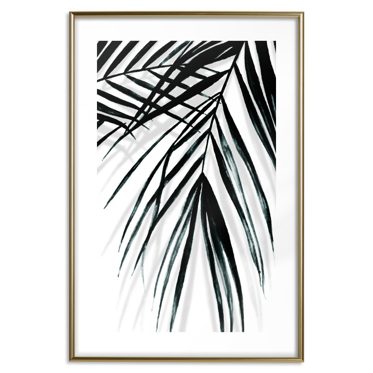 Poster Palm Relaxation - black and white composition with tropical plant leaves 119041 additionalImage 14