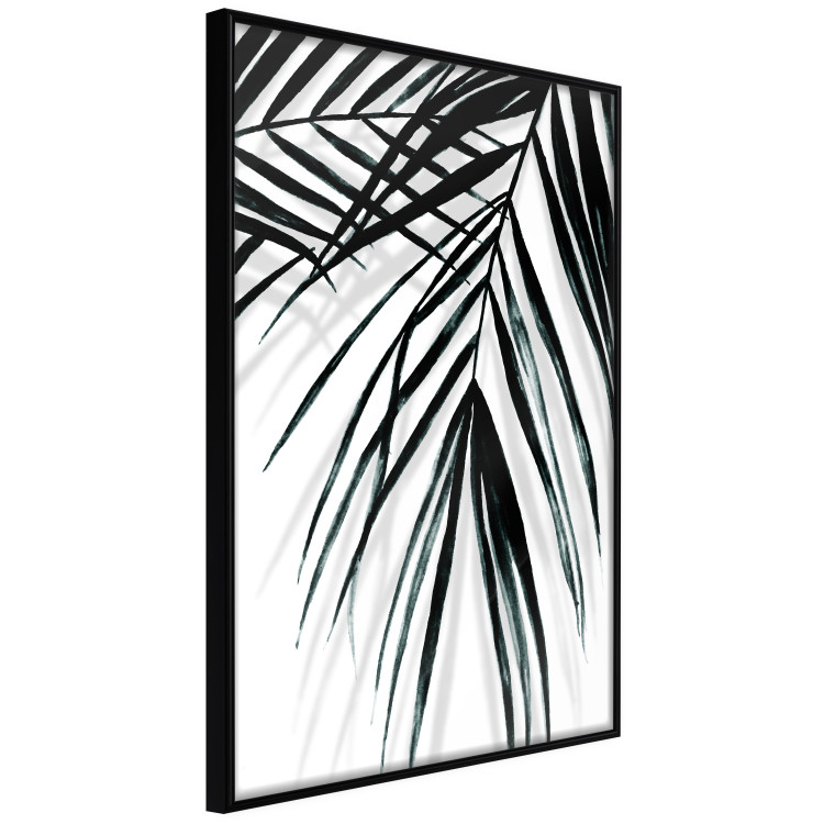 Poster Palm Relaxation - black and white composition with tropical plant leaves 119041 additionalImage 10