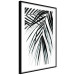 Poster Palm Relaxation - black and white composition with tropical plant leaves 119041 additionalThumb 11