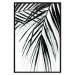 Poster Palm Relaxation - black and white composition with tropical plant leaves 119041 additionalThumb 18