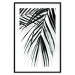 Poster Palm Relaxation - black and white composition with tropical plant leaves 119041 additionalThumb 15