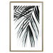 Poster Palm Relaxation - black and white composition with tropical plant leaves 119041 additionalThumb 14