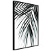 Poster Palm Relaxation - black and white composition with tropical plant leaves 119041 additionalThumb 10
