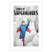Wall Poster World of Superheroes - superhero character and English captions 123641 additionalThumb 25