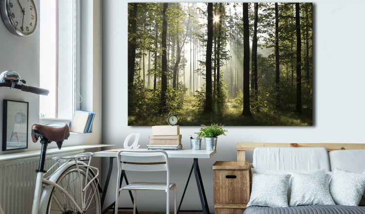 Large canvas print Forest: Beautiful Morning [Large Format] 128641 additionalImage 6