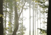 Large canvas print Forest: Beautiful Morning [Large Format] 128641 additionalThumb 4