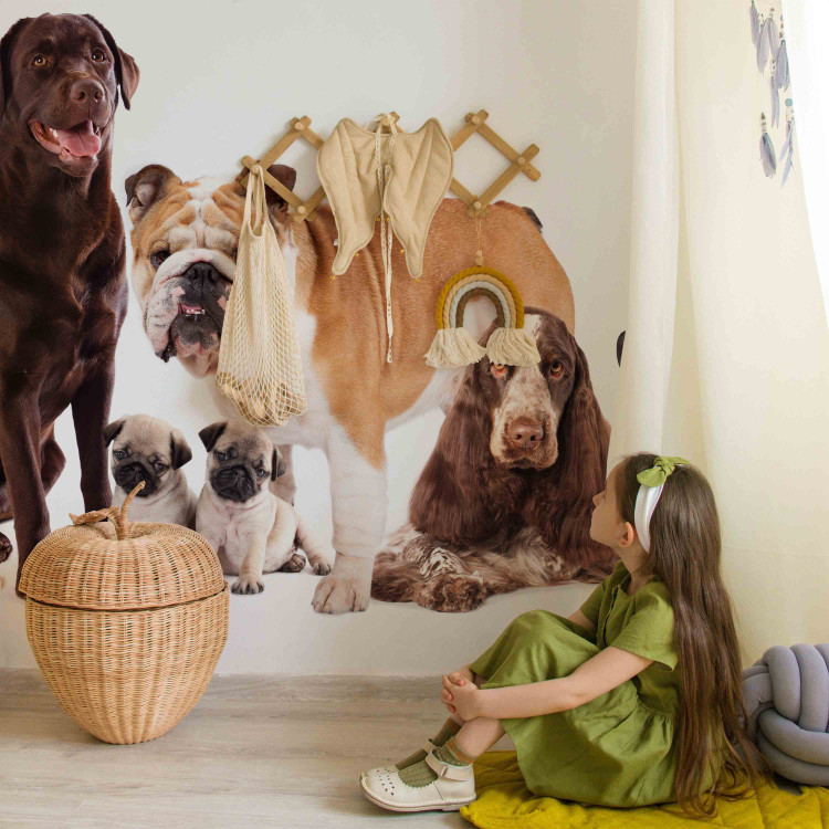 Wall Mural Animal portrait - dogs with a brown labrador in the centre on a white background 129041 additionalImage 4