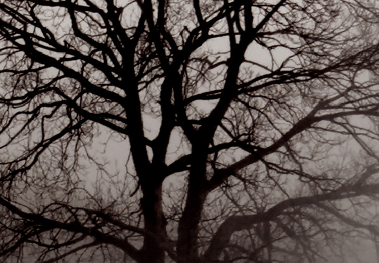 Canvas Dormant Power in the Tree (1-piece) Vertical - dark tree in the mist 130241 additionalImage 5