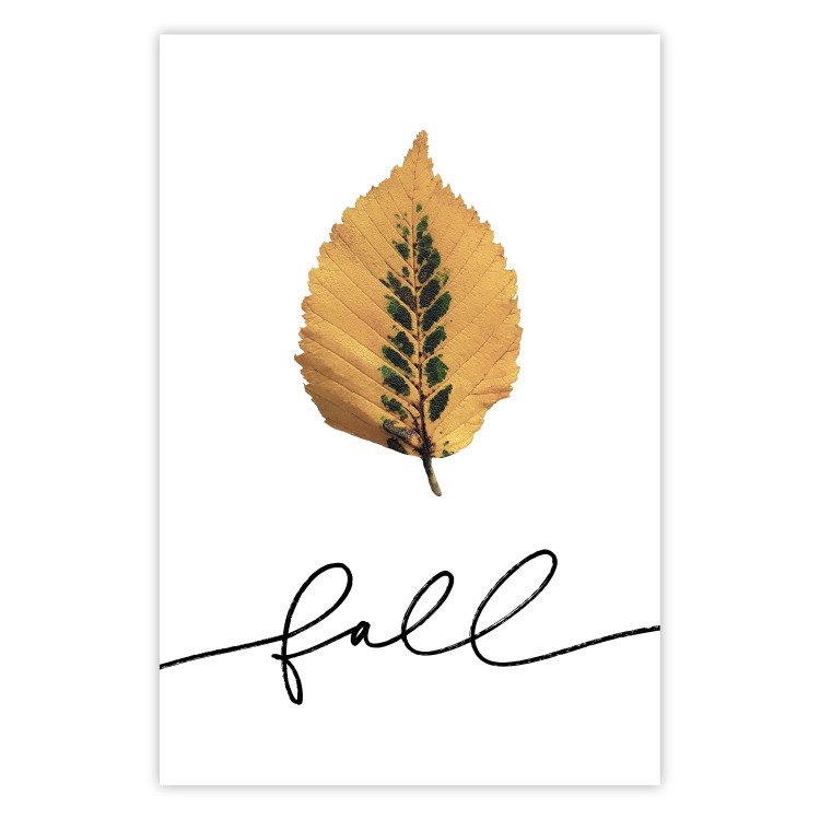 Wall Poster Unusual Leaf - autumn yellow leaf on a contrasting white background 131841