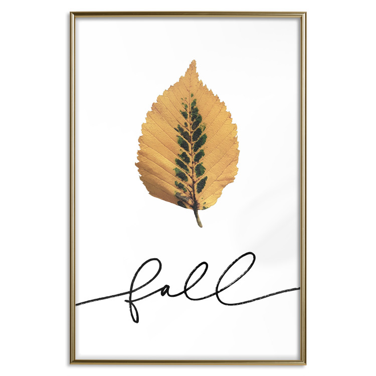 Wall Poster Unusual Leaf - autumn yellow leaf on a contrasting white background 131841 additionalImage 17