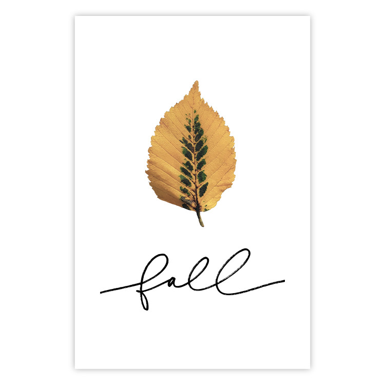 Wall Poster Unusual Leaf - autumn yellow leaf on a contrasting white background 131841 additionalImage 21