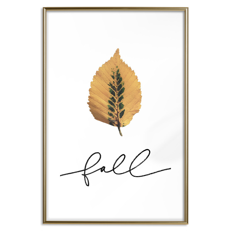 Wall Poster Unusual Leaf - autumn yellow leaf on a contrasting white background 131841 additionalImage 18