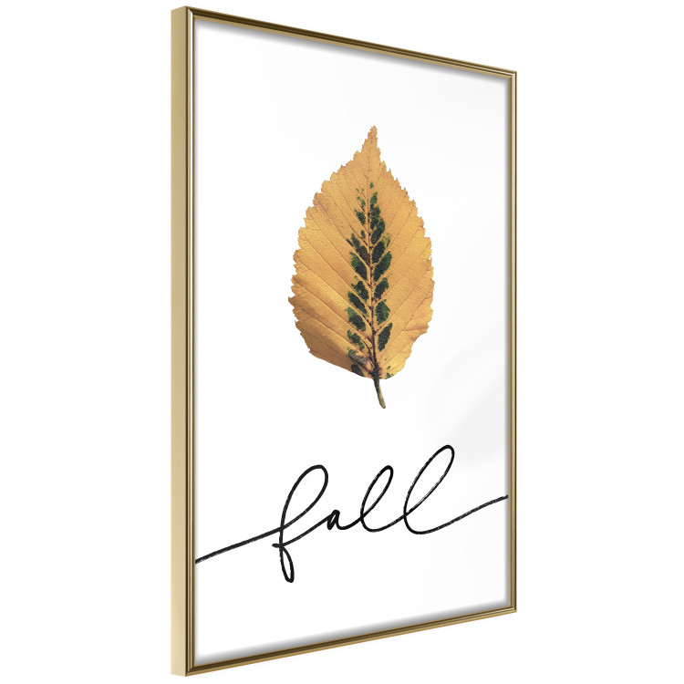 Wall Poster Unusual Leaf - autumn yellow leaf on a contrasting white background 131841 additionalImage 14