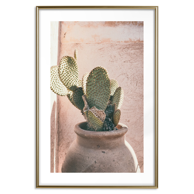 Poster Cactus in a Pot - Coniferous Plant in a Clay Pot 145241 additionalImage 20
