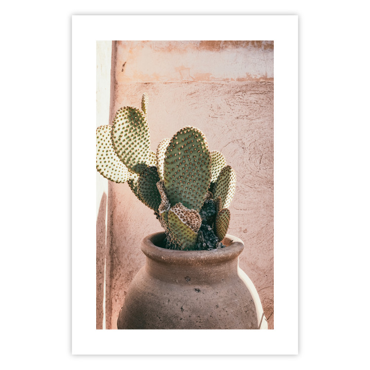 Poster Cactus in a Pot - Coniferous Plant in a Clay Pot 145241 additionalImage 16