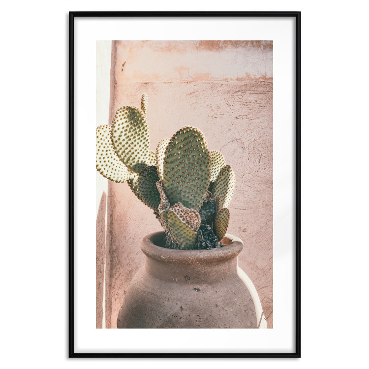 Poster Cactus in a Pot - Coniferous Plant in a Clay Pot 145241 additionalImage 19