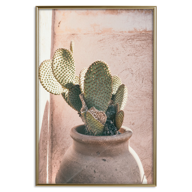 Poster Cactus in a Pot - Coniferous Plant in a Clay Pot 145241 additionalImage 14