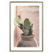 Poster Cactus in a Pot - Coniferous Plant in a Clay Pot 145241 additionalThumb 20