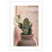 Poster Cactus in a Pot - Coniferous Plant in a Clay Pot 145241 additionalThumb 16