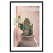 Poster Cactus in a Pot - Coniferous Plant in a Clay Pot 145241 additionalThumb 19