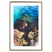 Poster Rocky Shore of the Sea - Photo of Colored Stones and Blue Water 146241 additionalThumb 25