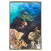 Poster Rocky Shore of the Sea - Photo of Colored Stones and Blue Water 146241 additionalThumb 23