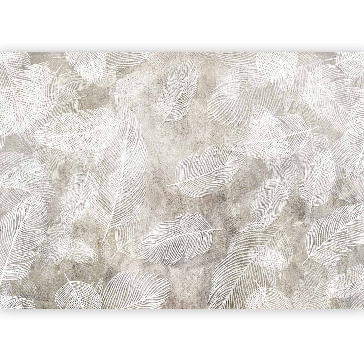 Wall Mural White Feathers - Bright Composition on a Raw Concrete Background 148541 additionalImage 1
