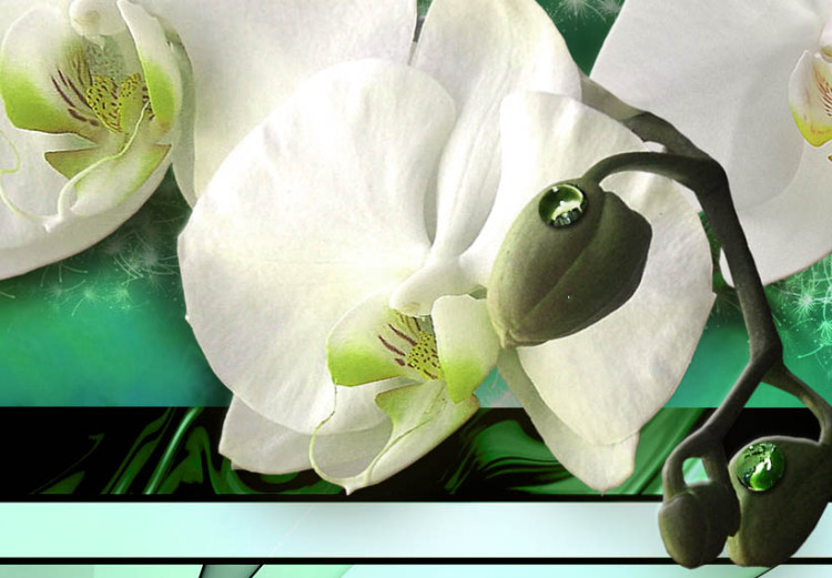 Canvas April (3-part) - white orchid flowers on a teal background 53141 additionalImage 4