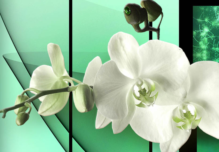 Canvas April (3-part) - white orchid flowers on a teal background 53141 additionalImage 5