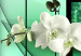 Canvas April (3-part) - white orchid flowers on a teal background 53141 additionalThumb 5