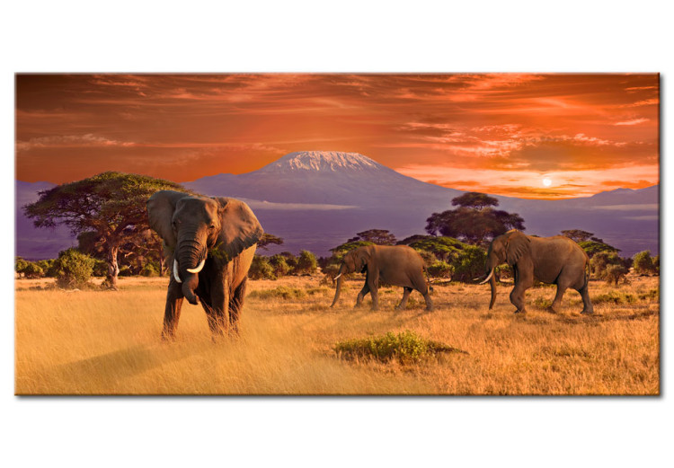 Canvas Adventure in Africa 58541